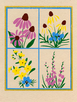 Prairie Wildflowers
